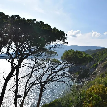 Redigrotta